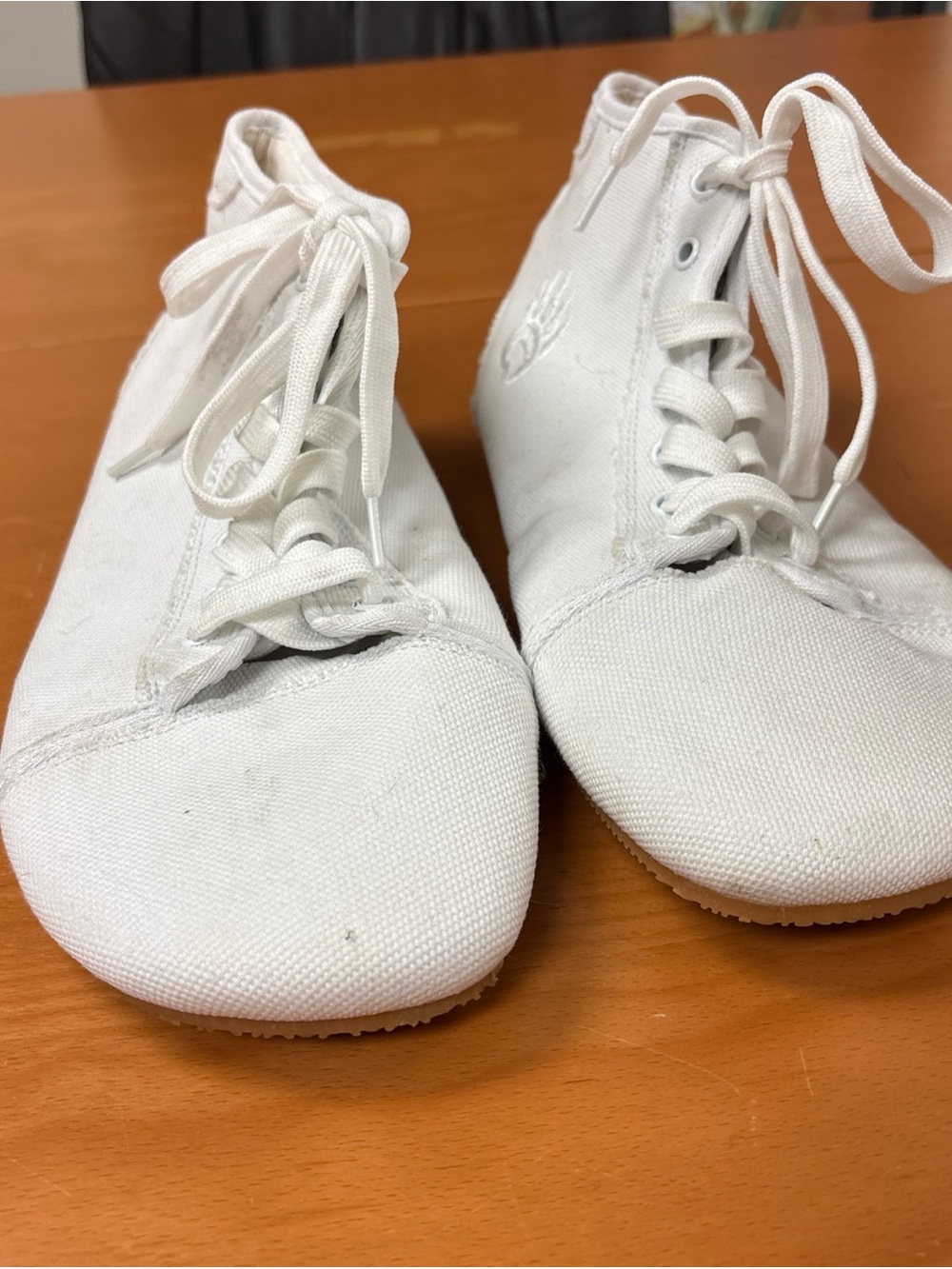 Men's White Canvas Lace-Up Sneakers